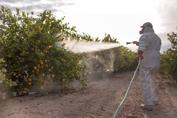 Pest Prevention Services in Onalaska, WI